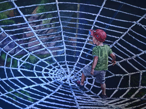 Spider man