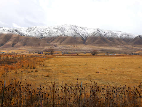 Utah winter fields