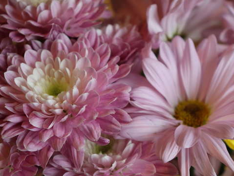 Bouquet 9