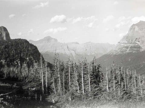 A vintage glacier national park