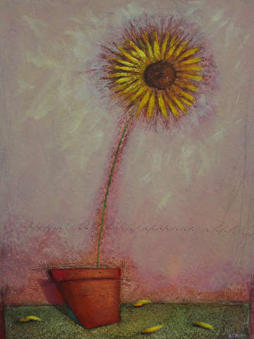 Sunflower 11