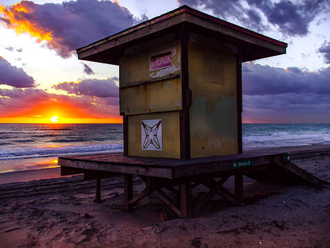 Rise shine lifeless hollywood beach florida
