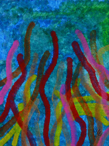 Coral reef 2