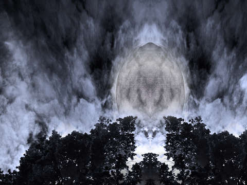The visitor 2