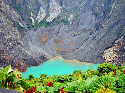Flourishing volcano