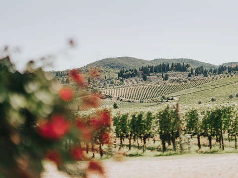 Tuscany 3