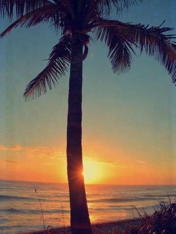 Just morning