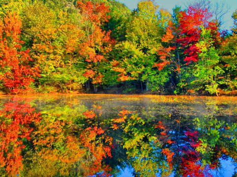 Color at peace