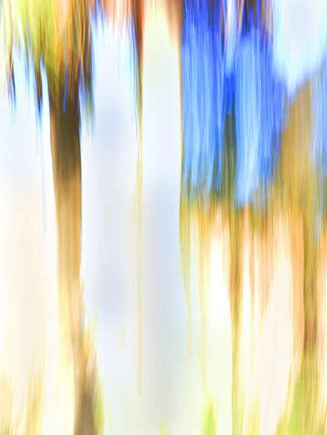 Moving trees 34 portrait format 52 70