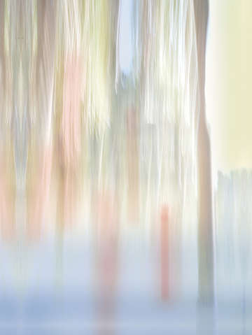 Moving trees 34 portrait format 52 70 200px
