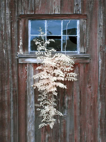 Old window faux color infrared