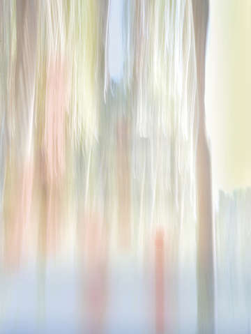 Moving trees 69 portrait format 52 70 200px