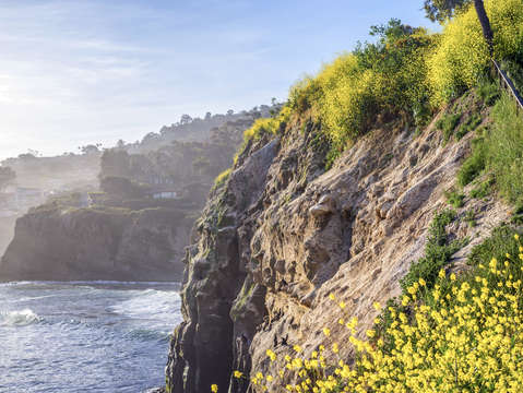 Giallo in la jolla