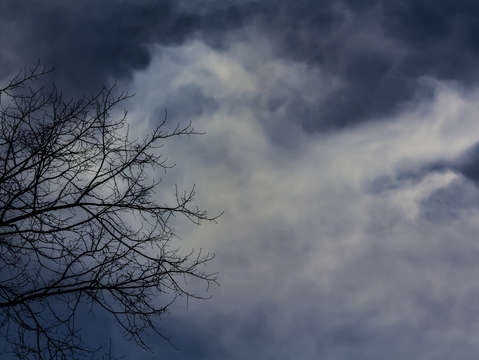 Early evening clouds and branches 1