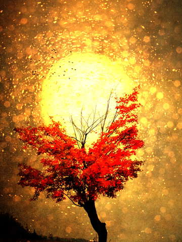 Fall light