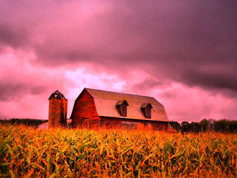Pink barn