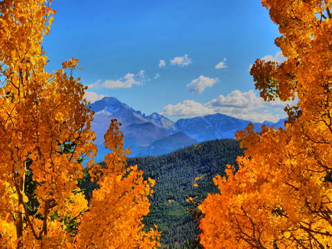 Rocky mountain gold