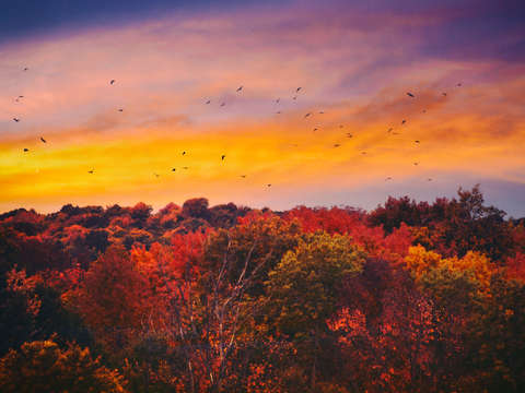 Autumn perfection