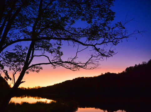 Tranquility 12