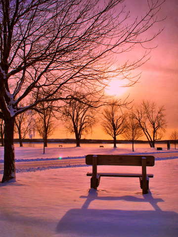 Pink bench sunset