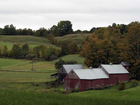 Jenny farm