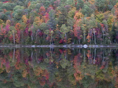 Round pond