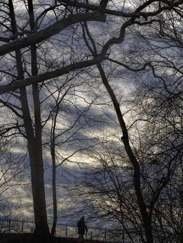 A lonely walk 1