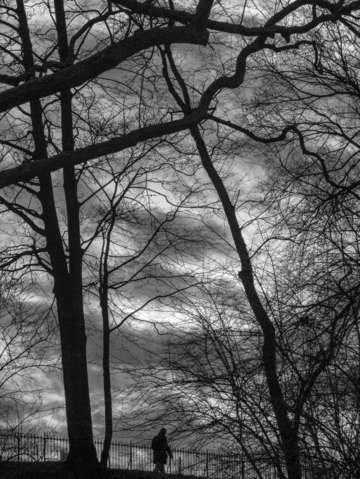 A lonely walk 2