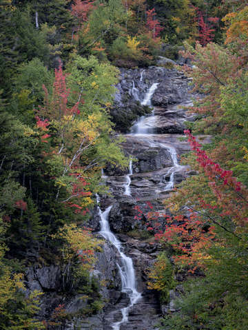 Silver cascade