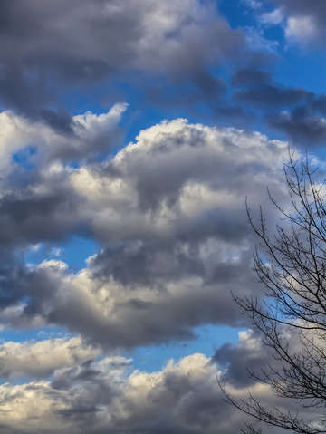 Trees sky and clouds 5
