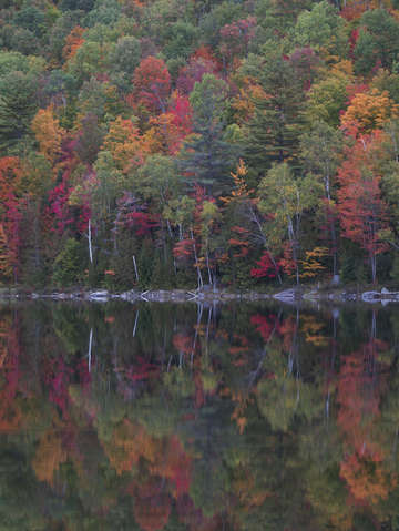Fall color shore
