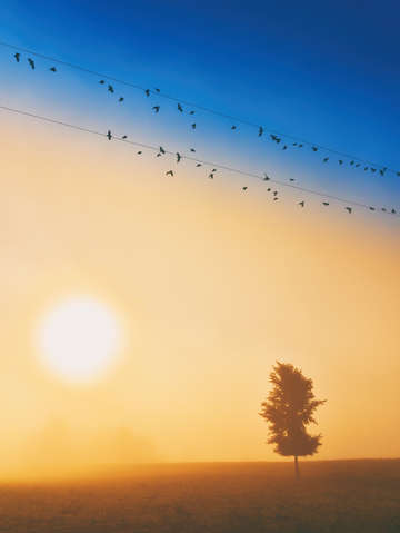 Orange and blue 3