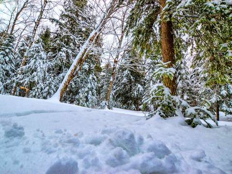 Snowy dsc 0252
