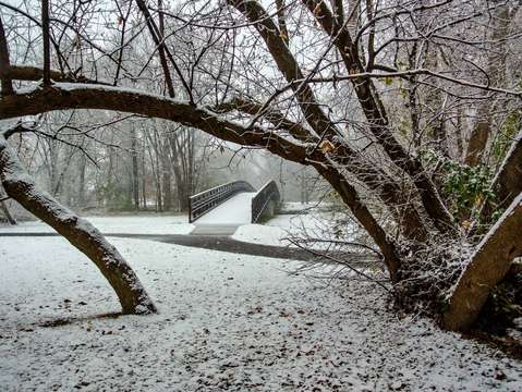 Snowy foot bridge dsc 2711