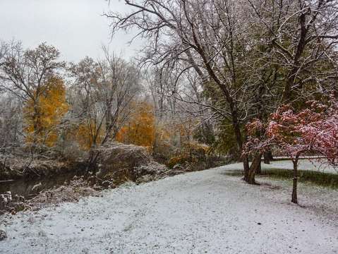 Colors in the snow dsc 2707