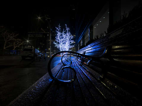 A midtown winters bench