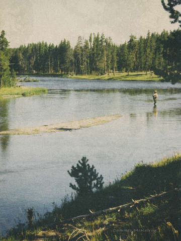 Fly fishing