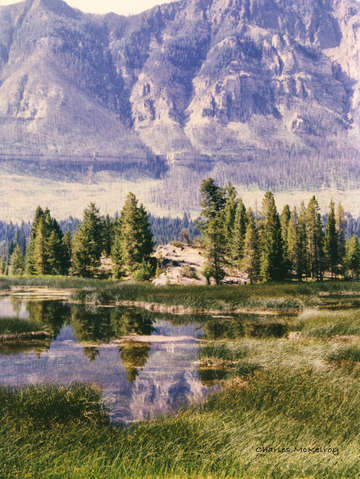Purple mountains
