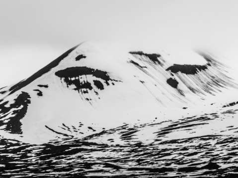The arctic is crying