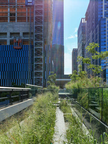 Do skyscrapers grow like plants chelsea nyc