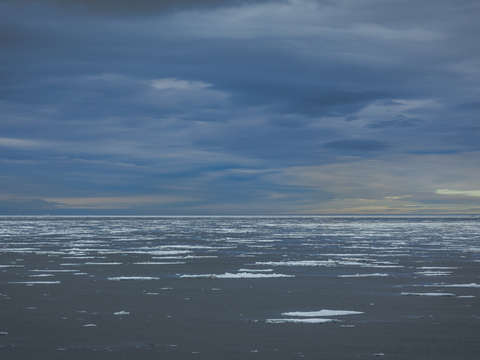The infinite arctic