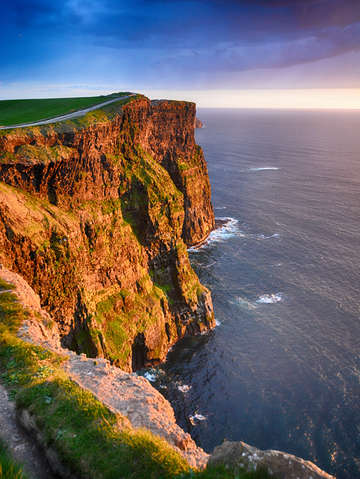 Golden moher