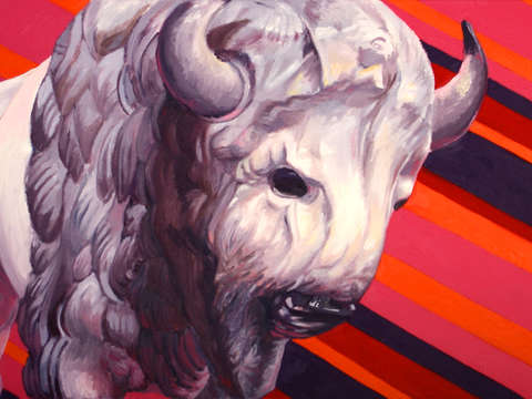 Vision bison