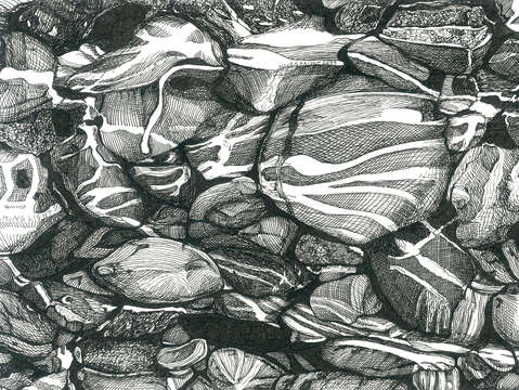 Streaming light ii 1000 drawings project