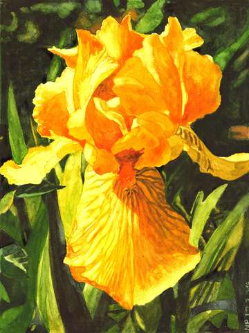 In a glory of sun