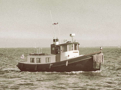 Tiny tug