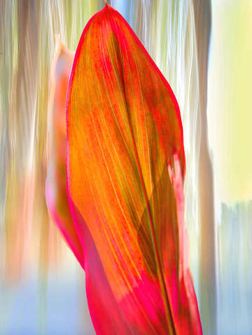 Red ti abstract bg digital painting 52 70 200px