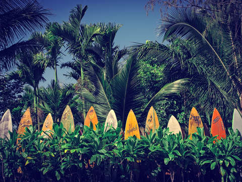 Surf board fence maui hawaii color
