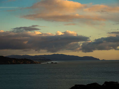 Sf coast