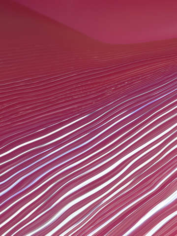 Pink land 0725